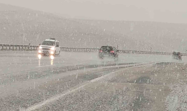 Van'da lapa lapa kar yağıyor