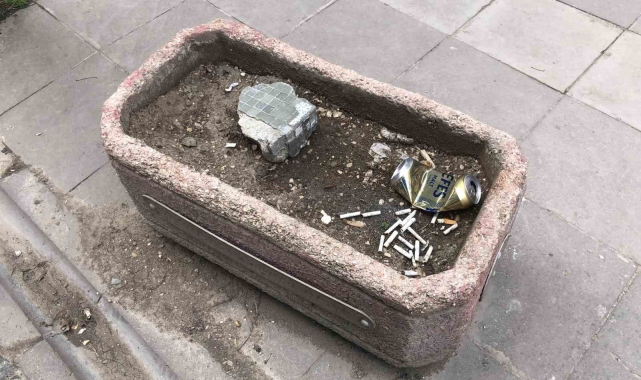 Vatandaşlar ceza ödememek için çözümü saksıda buldu