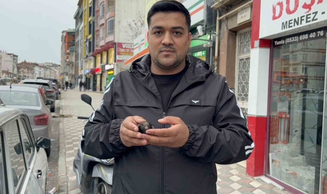 Yaralı sandığı ebabili evinde besledi, daha sonra doğaya bıraktı