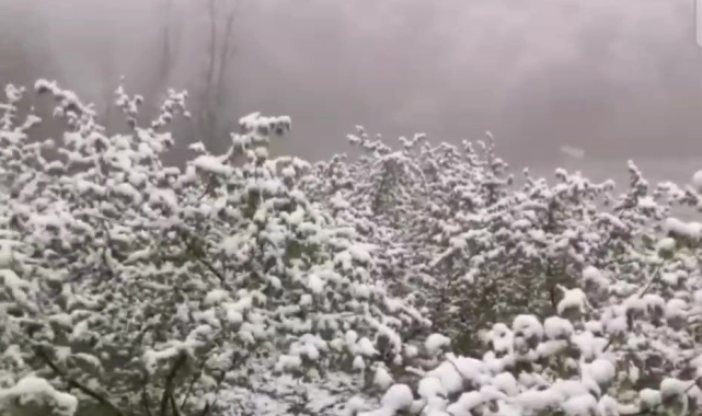 Zonguldak'ta Nisan ayında kar sürprizi