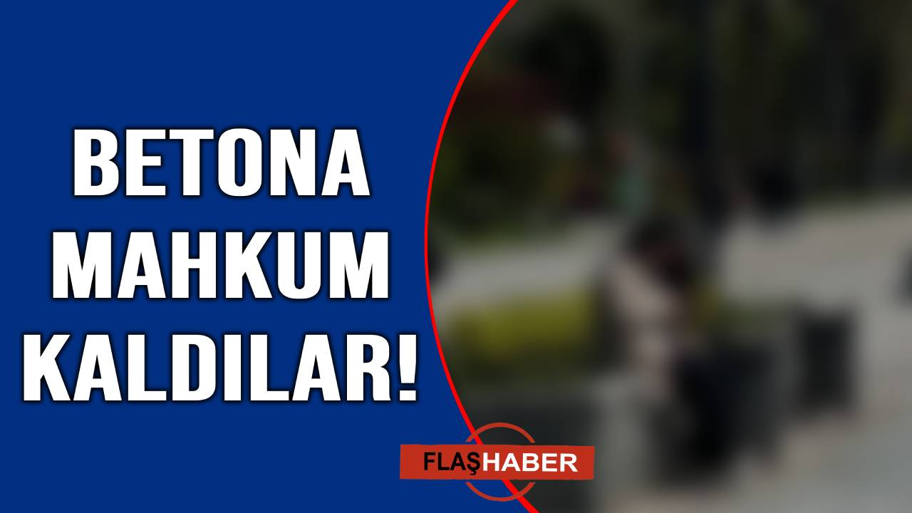 Sinop’un kalbinde oturacak yer kalmadı