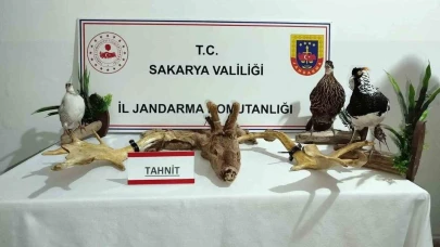 Hayvanat bahçesi gibi ev: Evinden çıkanlar hayrete düşürdü