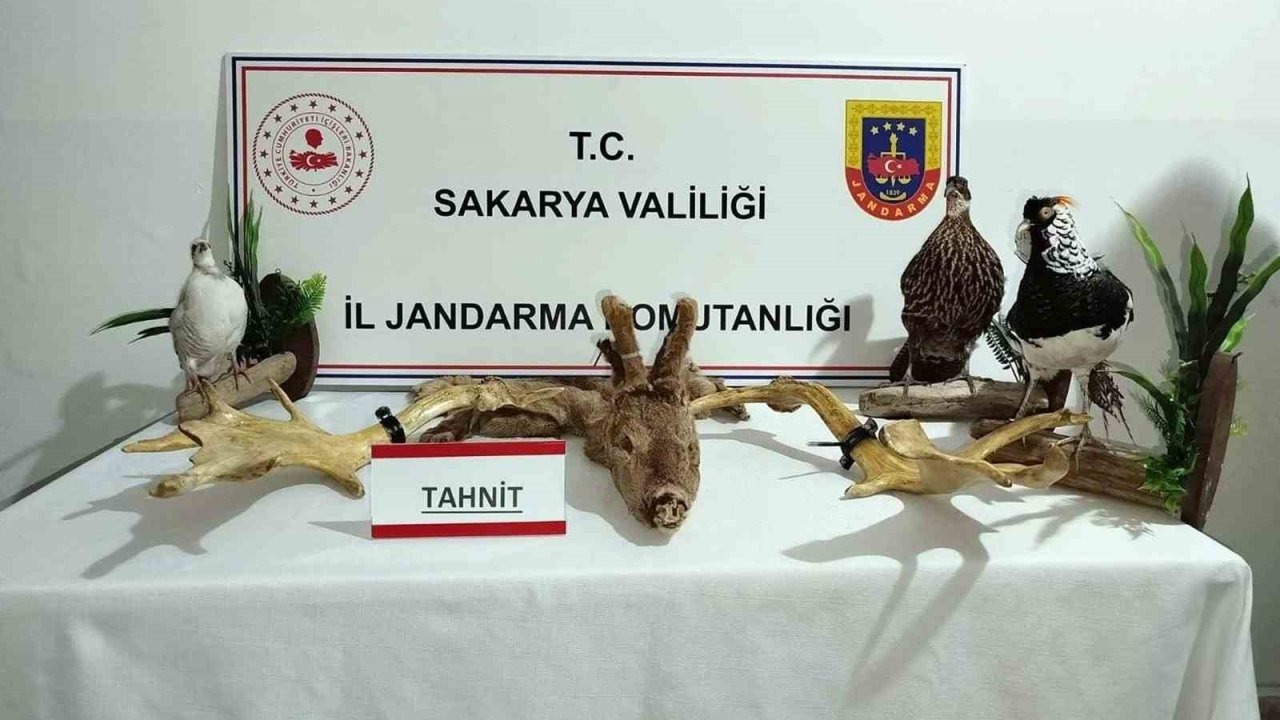 Hayvanat bahçesi gibi ev: Evinden çıkanlar hayrete düşürdü