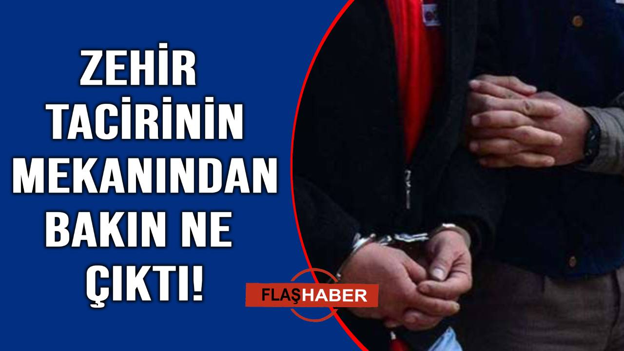 Sinop’ta jandarmadan bonzai operasyonu: 1 gözaltı