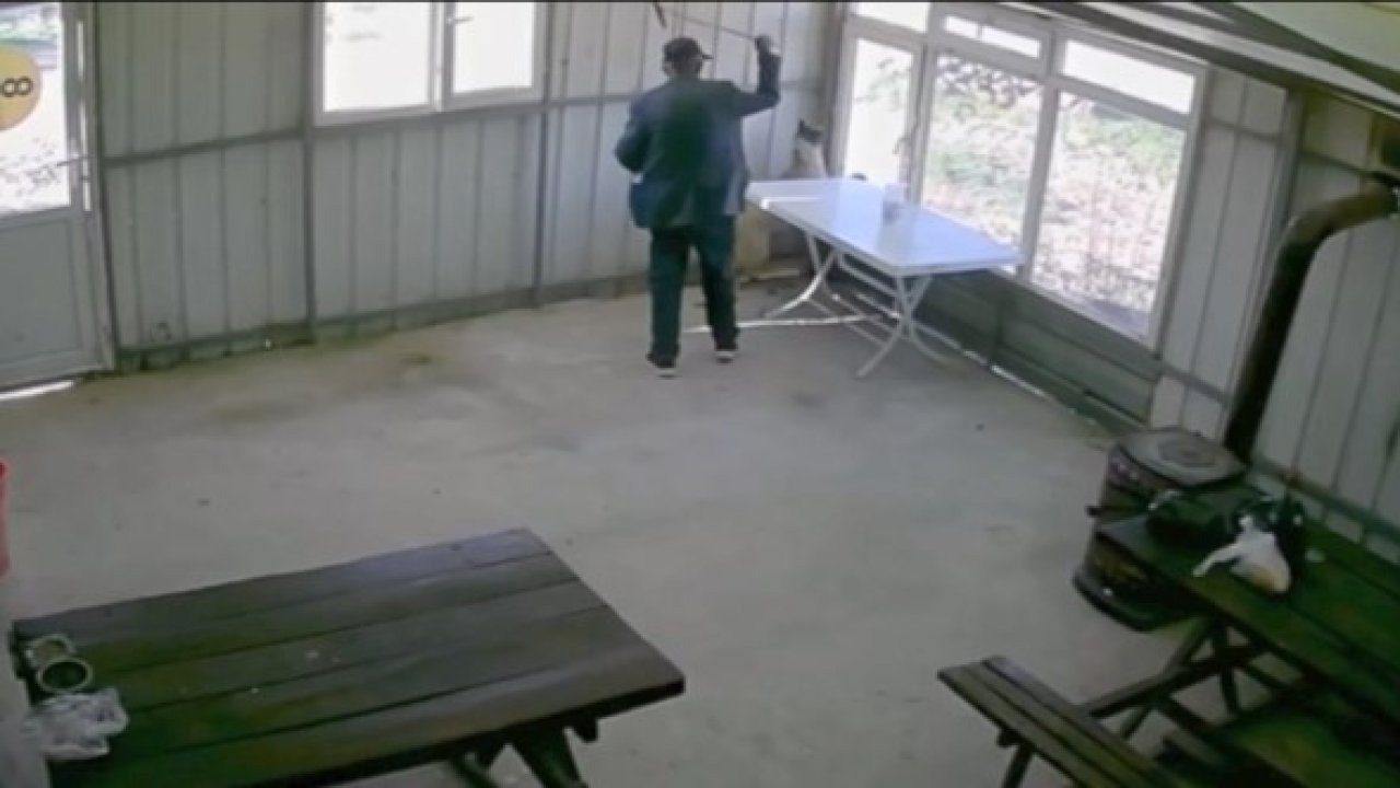 81 yaşındaki şahıs köy kahvesinde bakılan köpeğe dehşeti yaşattı