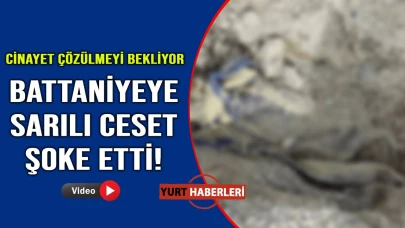 Koyun otlatan çoban cesetle karşılaştı