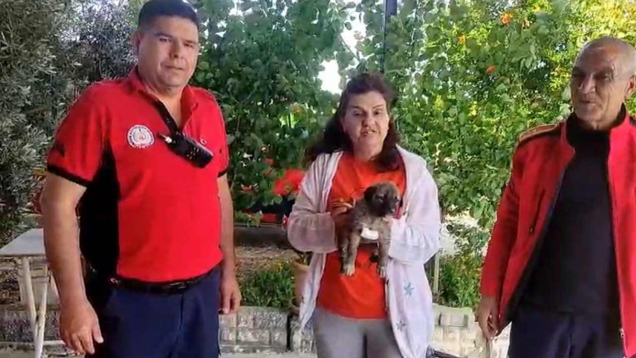 Su kenarında mahsur kalan köpeği itfaiye kurtardı