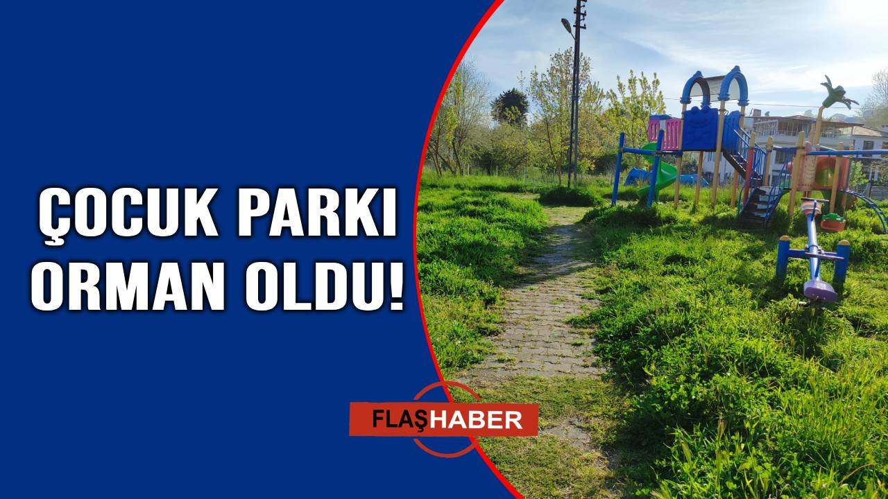 Bakımsız kaldı