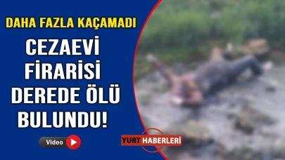 İzni bitiminde cezaevine teslim olmayan hükümlü ölü olarak bulundu
