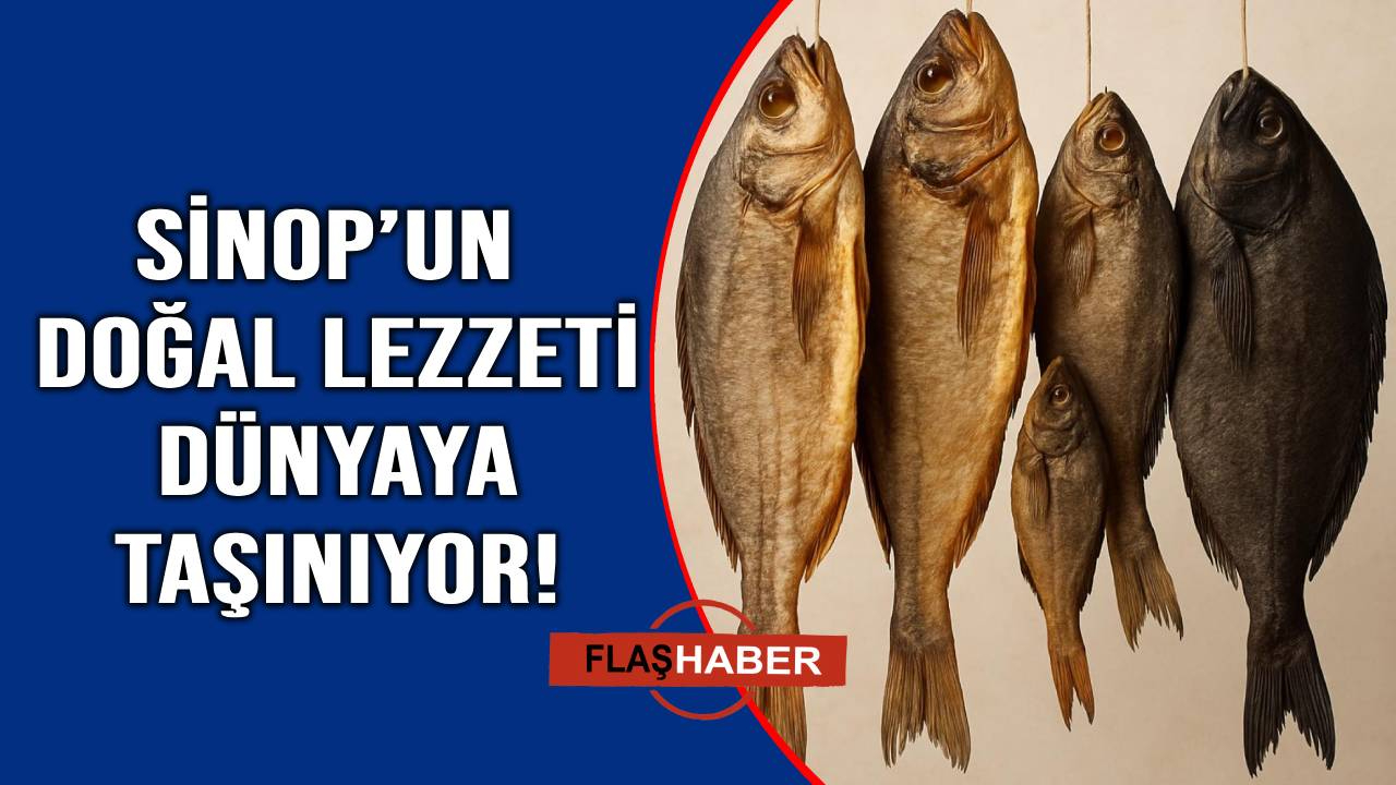 Sinop’tan dünyaya açılan doğal lezzet