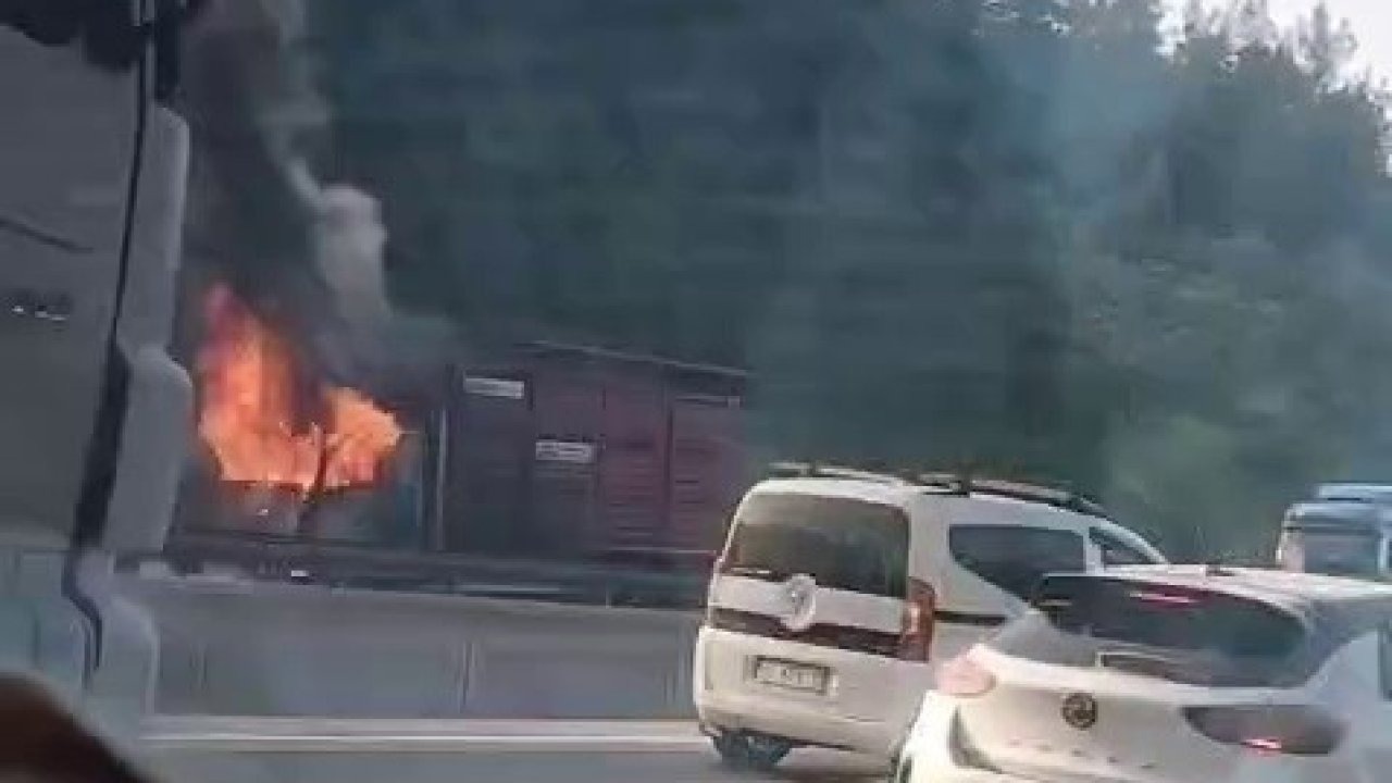 Hayvan yüklü kamyon alevlere teslim oldu