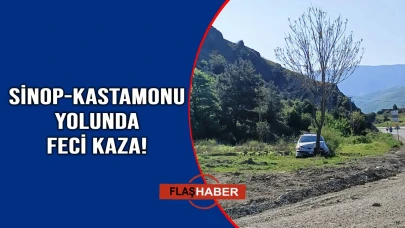 Yoldan çıkan otomobil ağaca saplandı