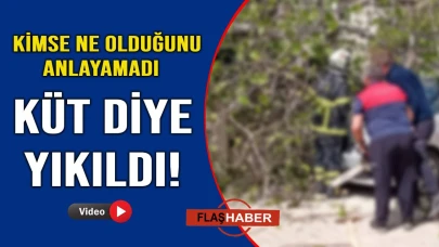 Sinop’ta kökten çöken ağaç, otomobile zarar verdi