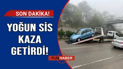 Sinop'ta kaza! Yoğun sis nedeniyle refüje çarptı