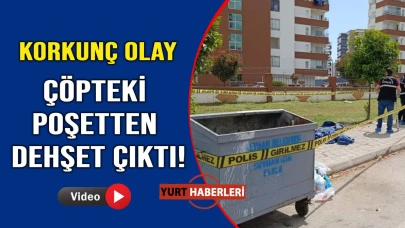 Çöpten çıkan kafatası ekipleri harekete geçirdi