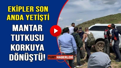 Mantar ararken az daha canından oluyordu