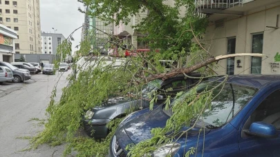 Rüzgarda kırılan ağaç dalı otomobillerin üzerine düştü