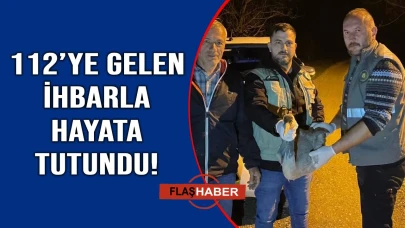Yaralı halde bulundu, koruma altına alındı