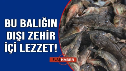 Çirkin kral tezgahlarda kendini gösterdi
