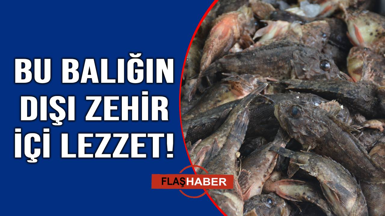 Çirkin kral tezgahlarda kendini gösterdi