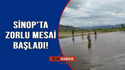 Türkiye'nin pirinç ihtiyacının yüzde 5’i buradan karşılanıyor