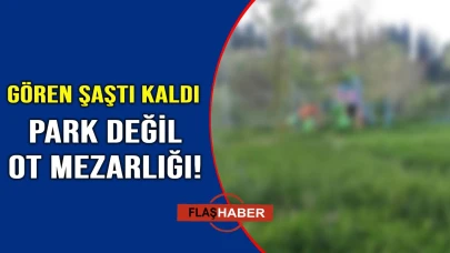 Çocuklar değil, otlar eğleniyor