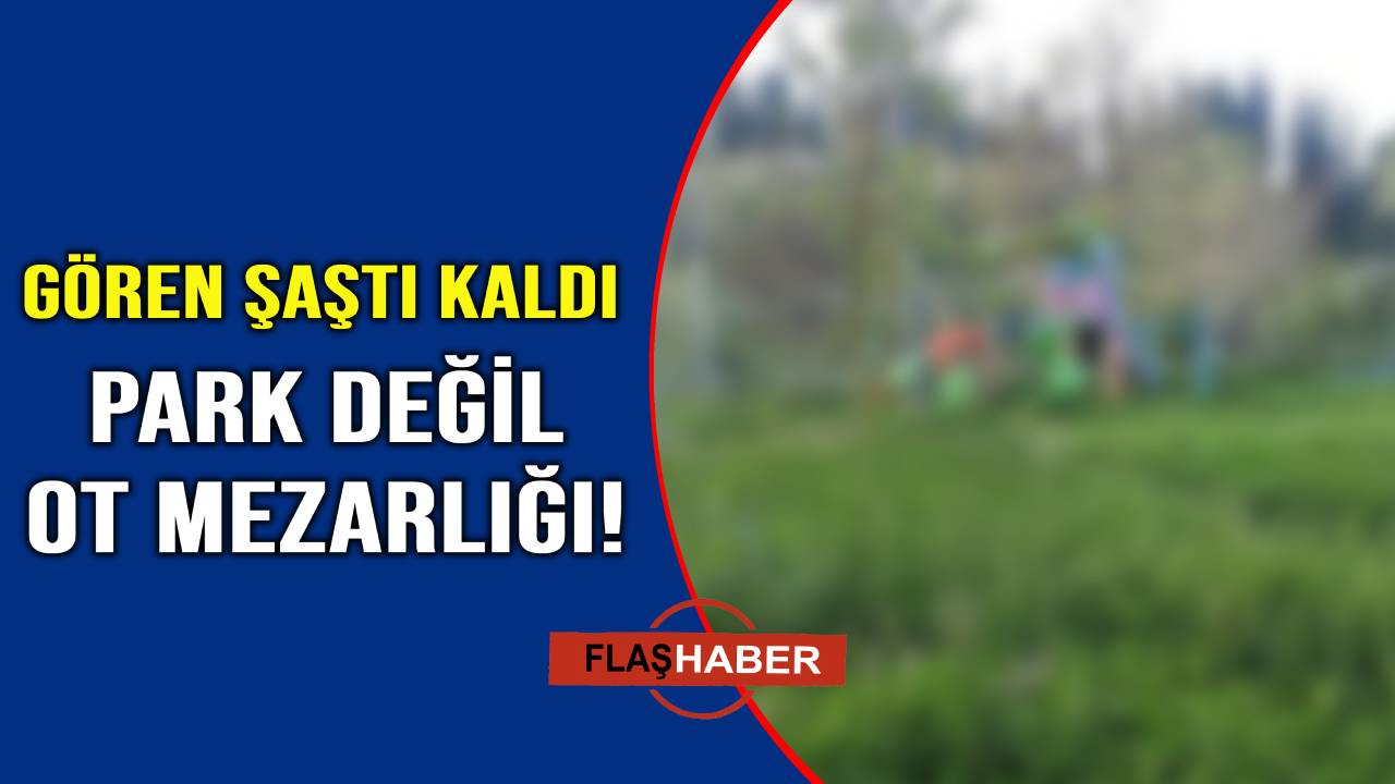 Çocuklar değil, otlar eğleniyor