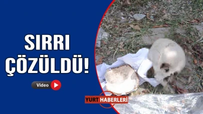 Çöpte bulunan kafatasının sırrı çözüldü