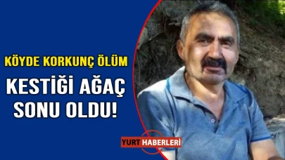 Devrilen ağaç can aldı