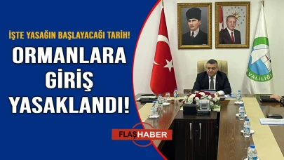 Sinop'ta ormanlara giriş yasağı