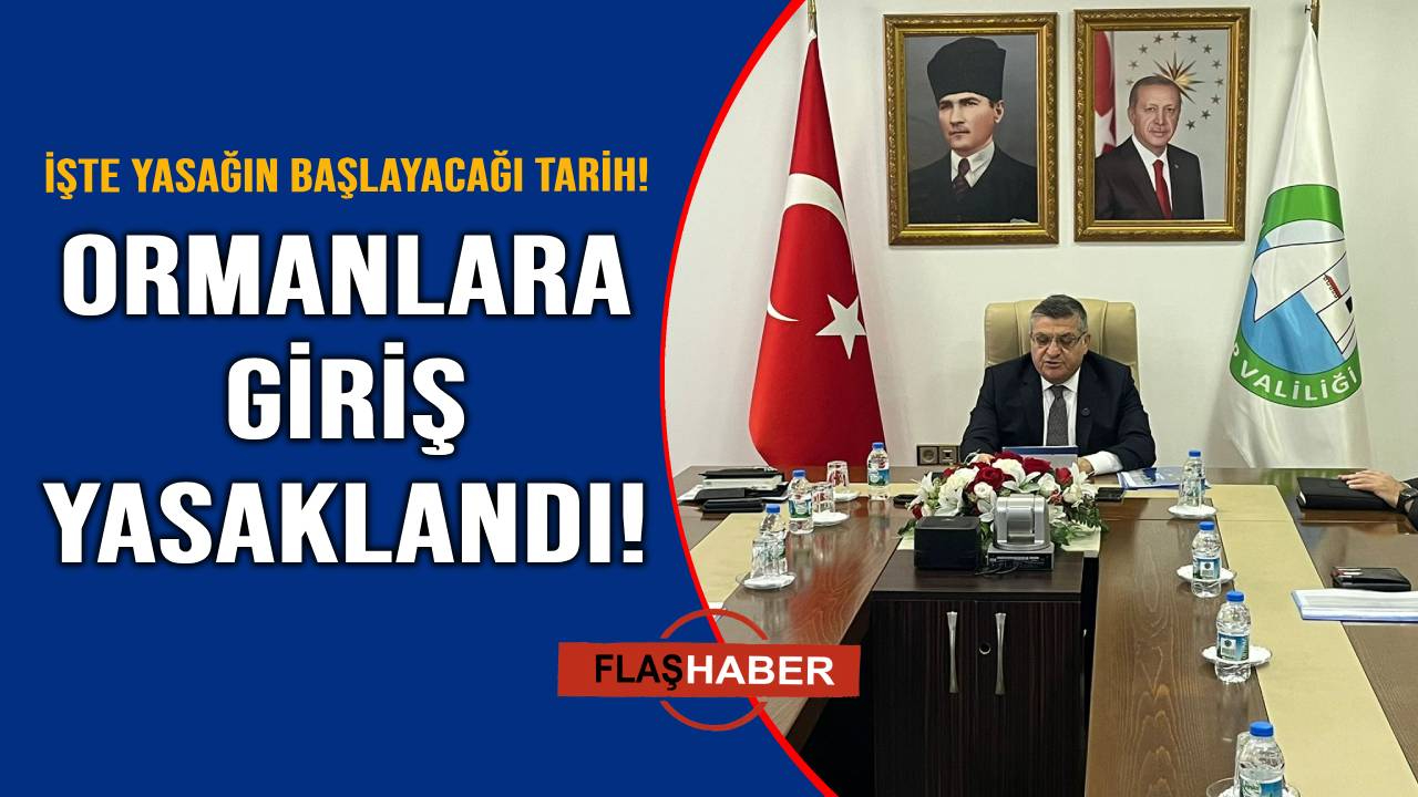 Sinop'ta ormanlara giriş yasağı