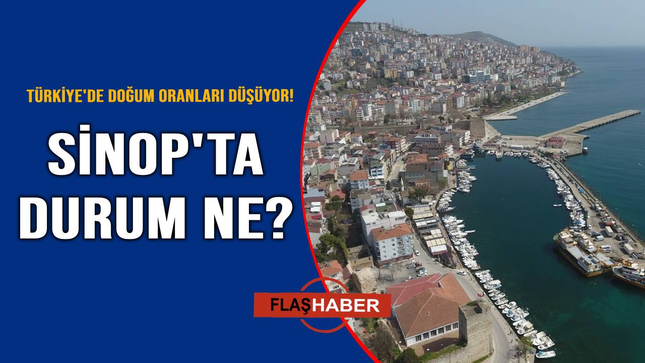 TÜİK Doğum İstatistikleri'ni açıkladı