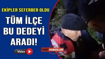 Yaşlı çınar teşkilatı peşine taktı