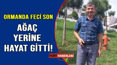 Orman temizliği yaparken canından oldu