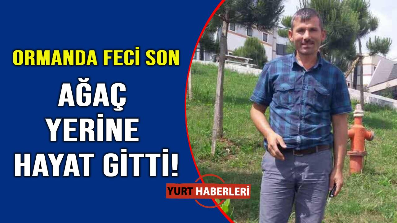 Orman temizliği yaparken canından oldu