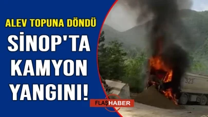 Hafriyat kamyonu alevlere teslim oldu
