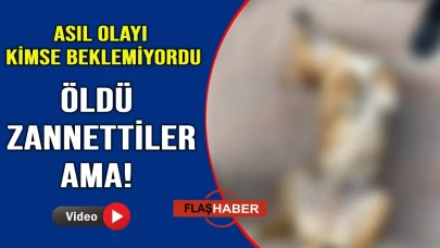 Dünya yansa umrunda değil