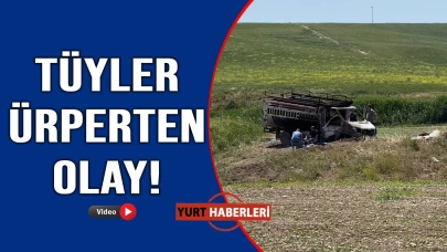Baba oğul kamyonetle yanmış halde bulundu