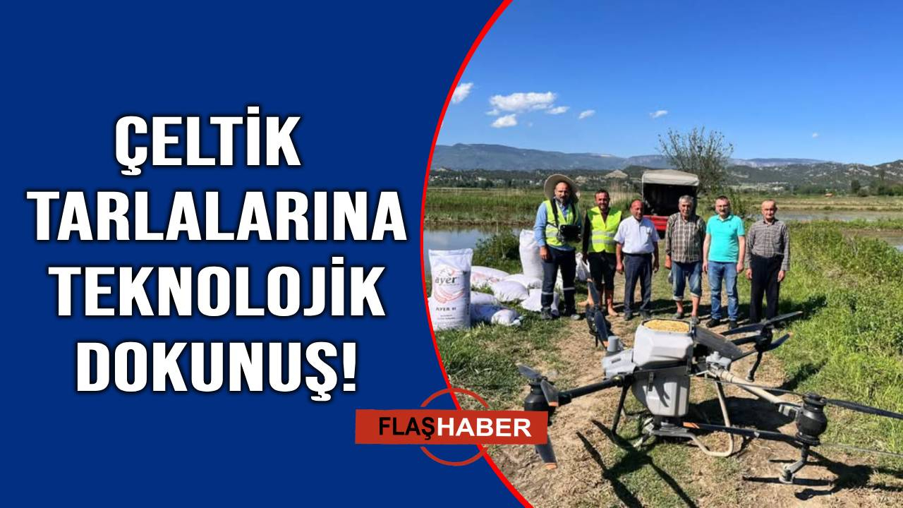Sinop'ta çeltik ekimi drone ile yapıldı