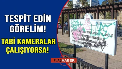 Parkta kameralar var ama yok gibi