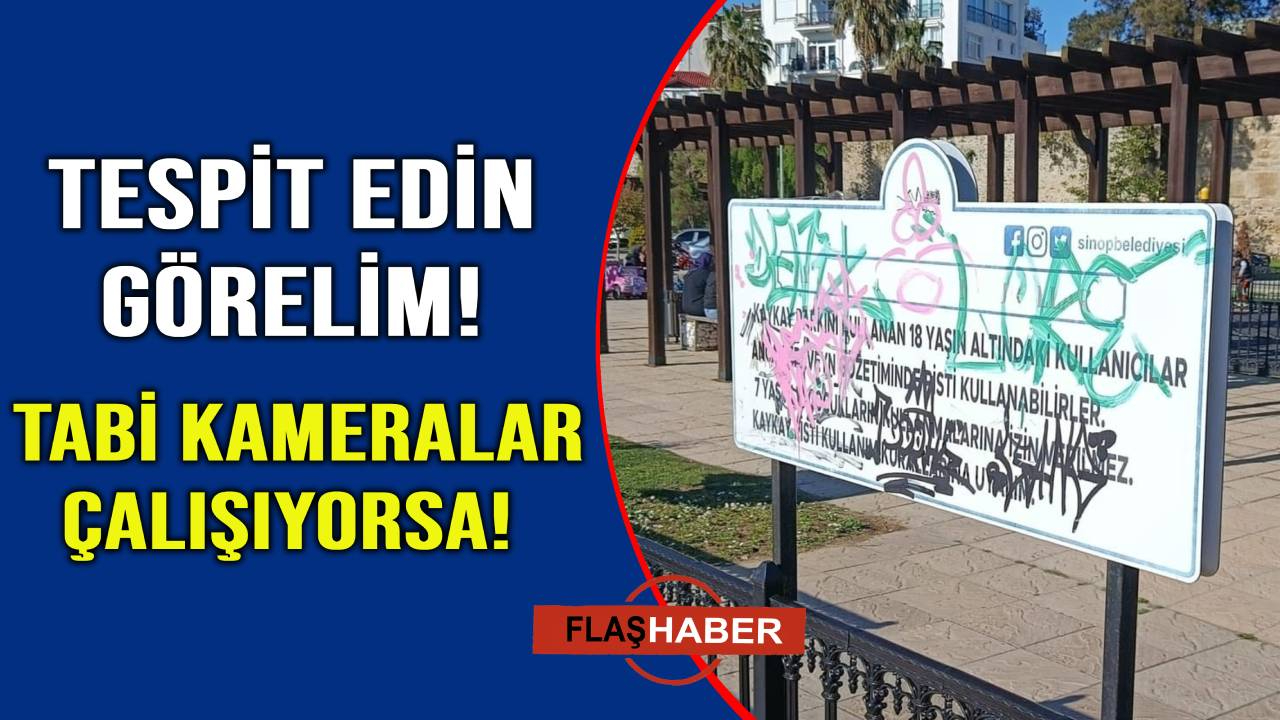 Parkta kameralar var ama yok gibi