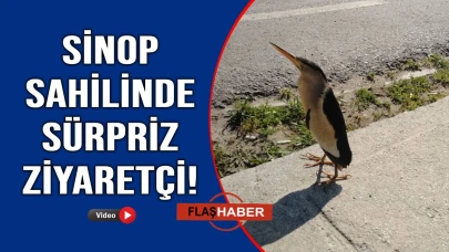 Görenler şaşkınlığını gizleyemedi