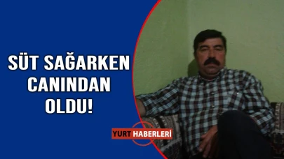Ahırda feci ölüm