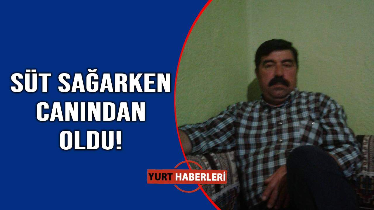 Ahırda feci ölüm
