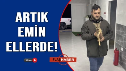 Vatandaş buldu, ekipler harekete geçti