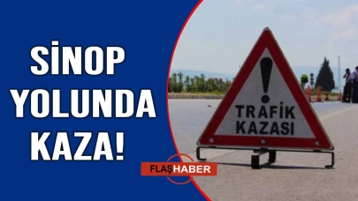 Direksiyon hakimiyetini kaybeden otomobil çalılık alana girdi
