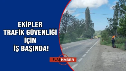 Sinop’ta yol kenarlarında temizlik seferberliği