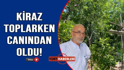 Yaşlı adamın acı sonu