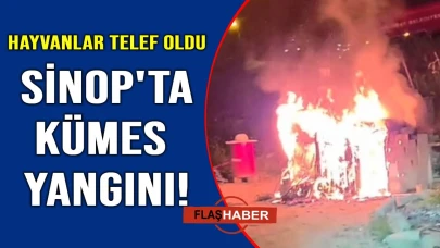 Kanat çırpamadan yandılar