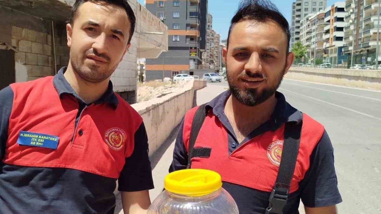 Mutfakta görülen yılan, paniğe neden oldu